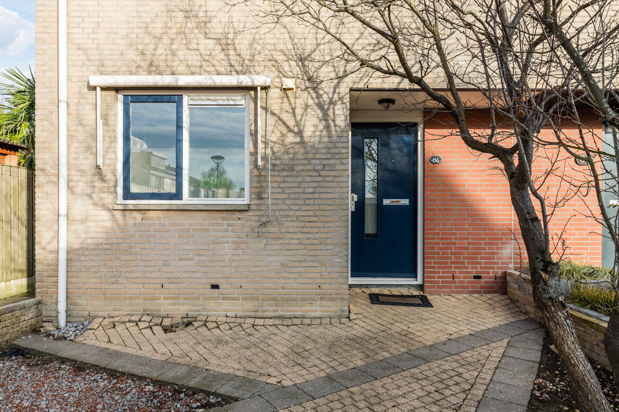 Photo 9 of Grauwe Gans 64