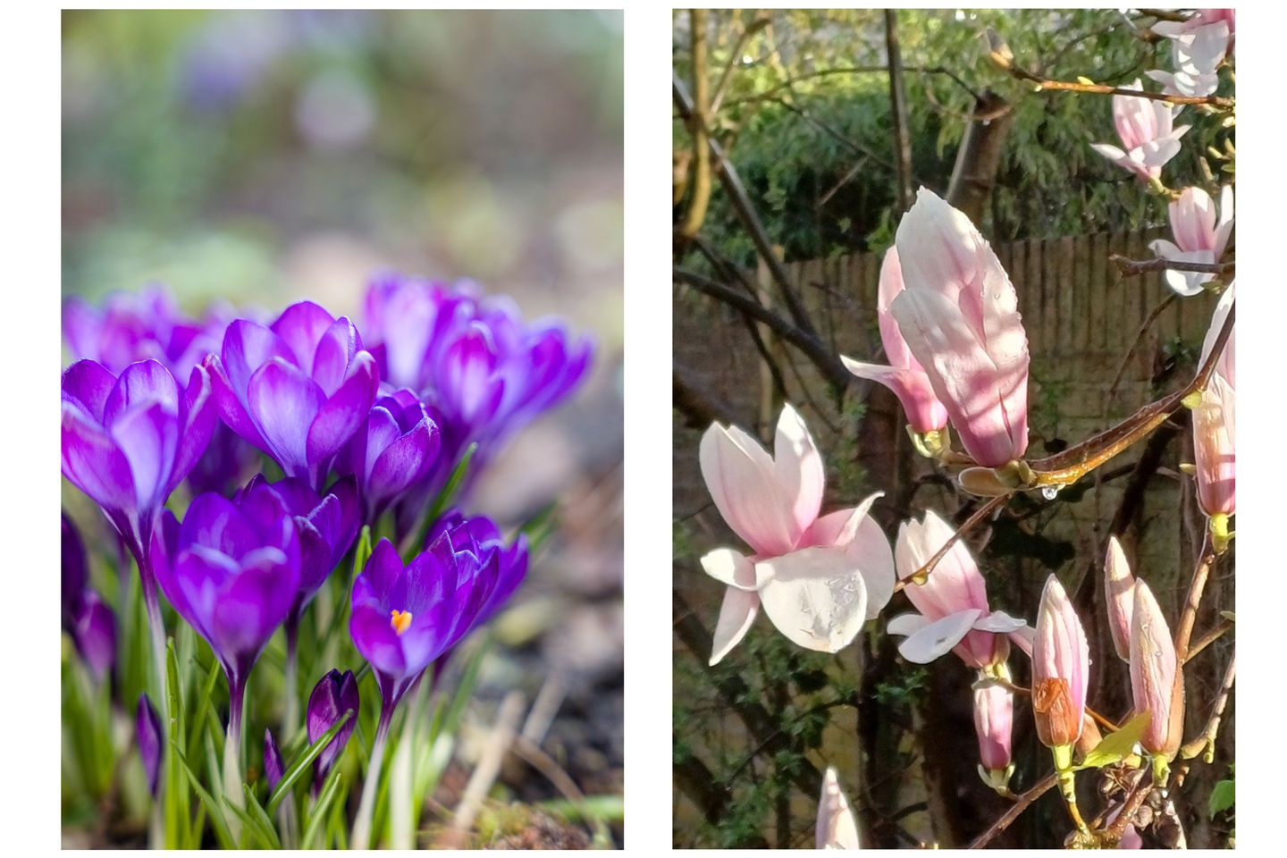 Foto 50 van Kerkstraat 20