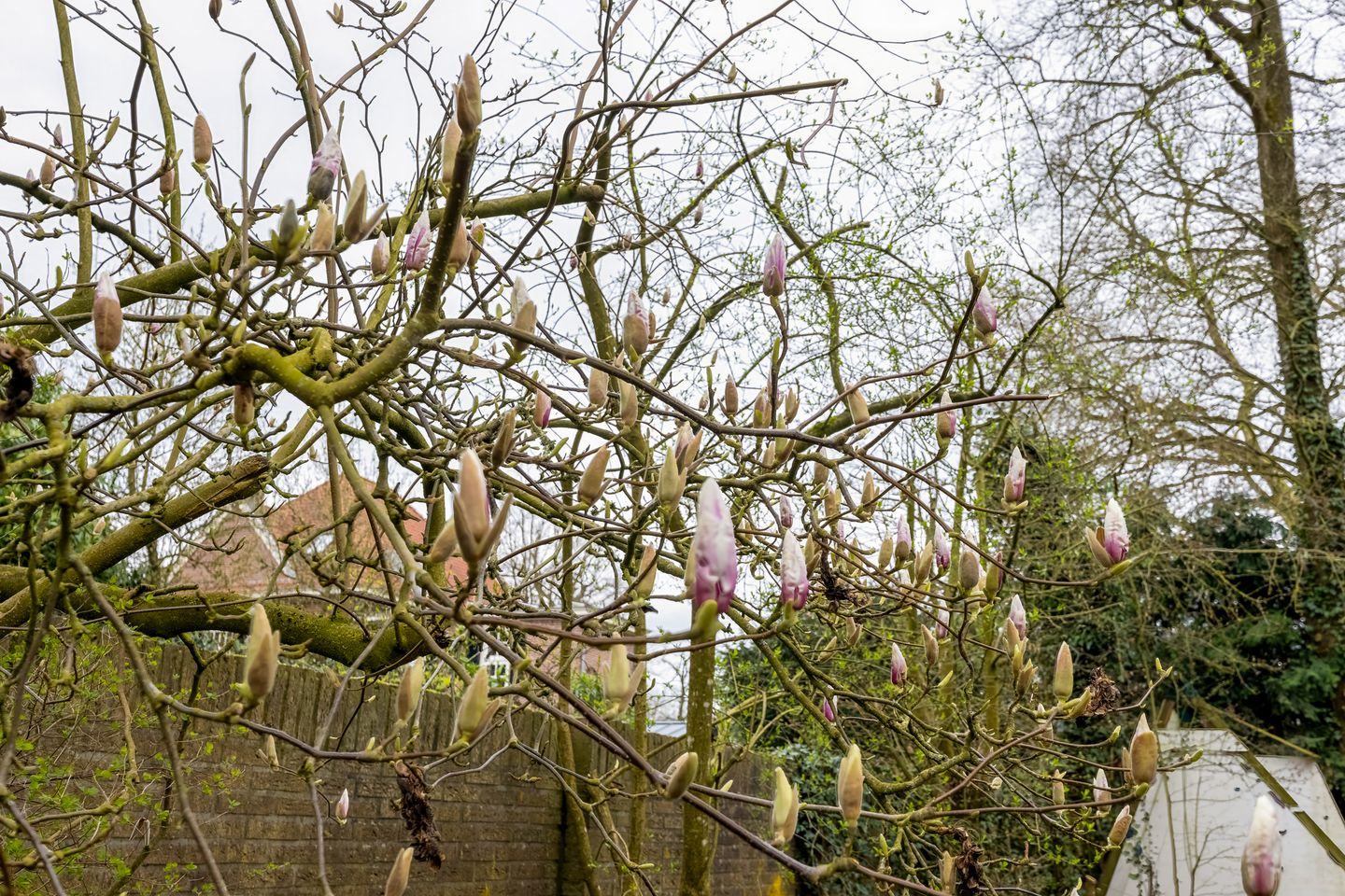 Foto 49 van Kerkstraat 20