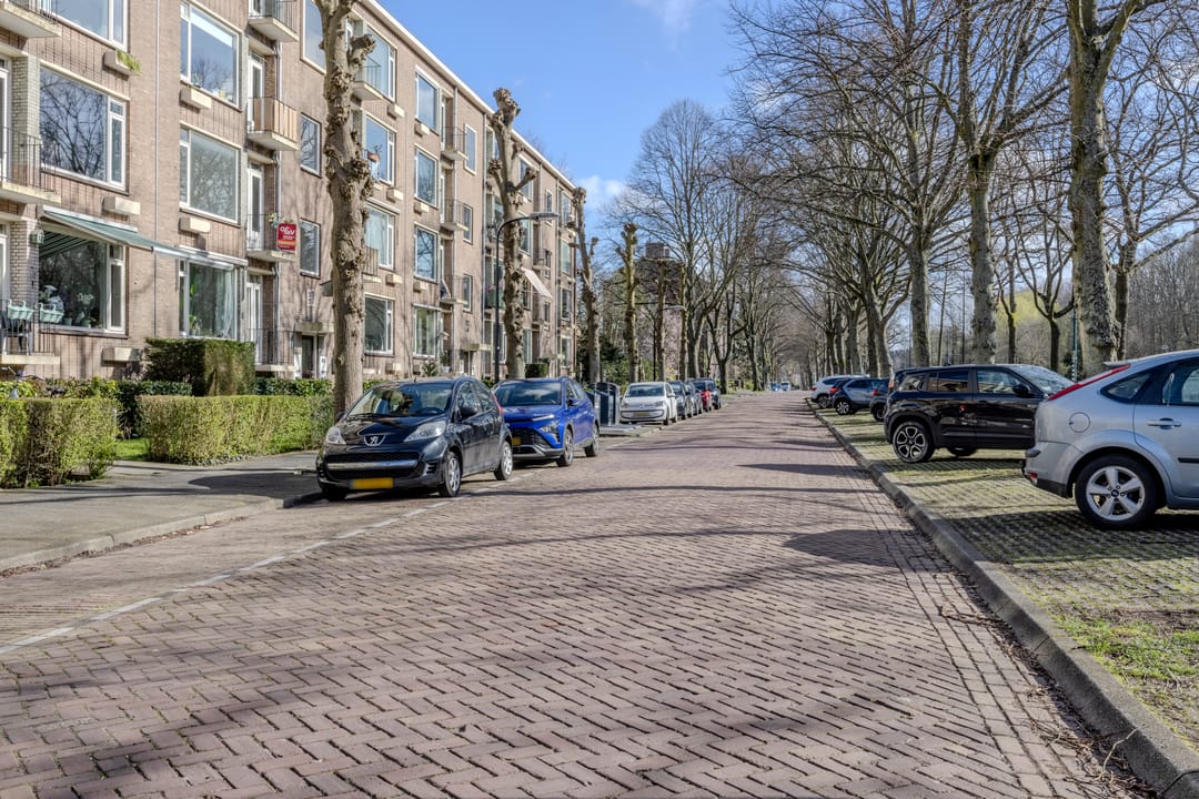 Spacious corner apartment near the Rijswijkse Bos — 42