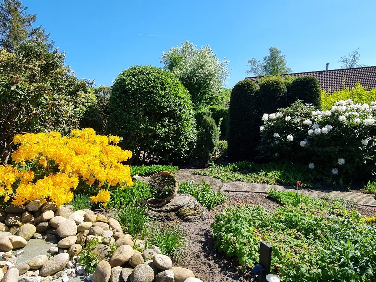 Photo 12 of Wiidswâl 23