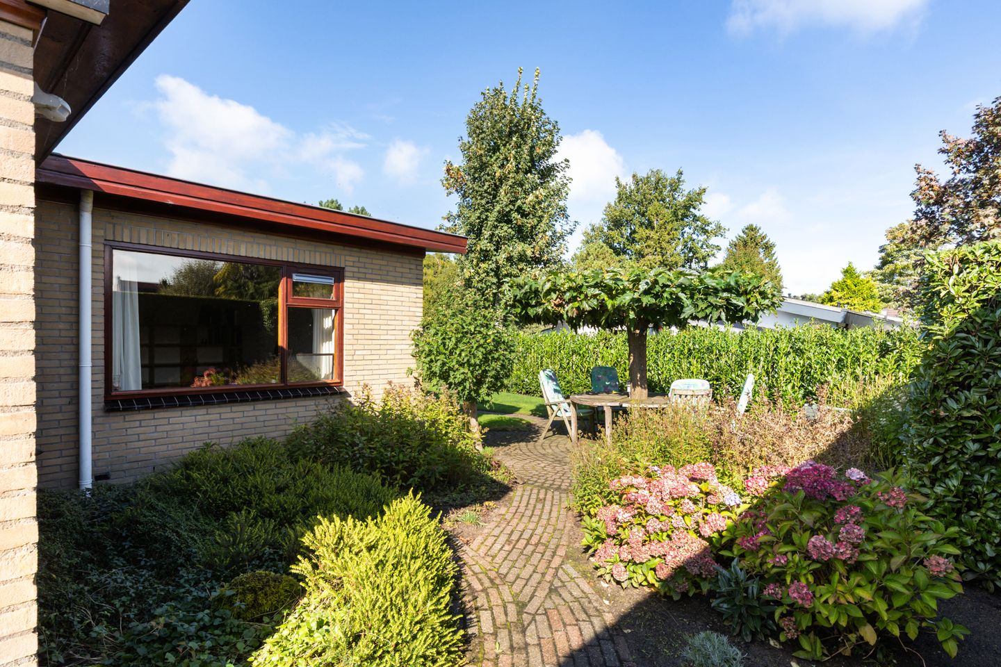 Photo 14 of Wiidswâl 23