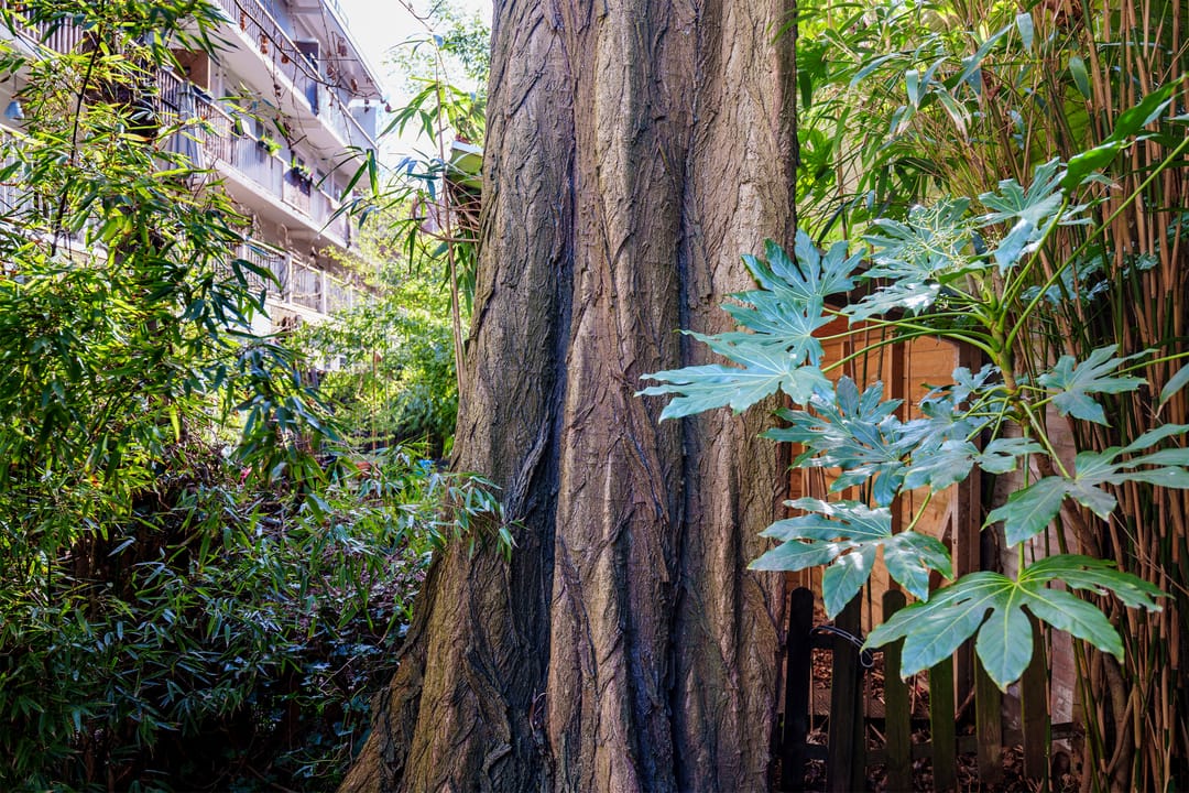 Photo 8 of Danie Theronstraat 22-E