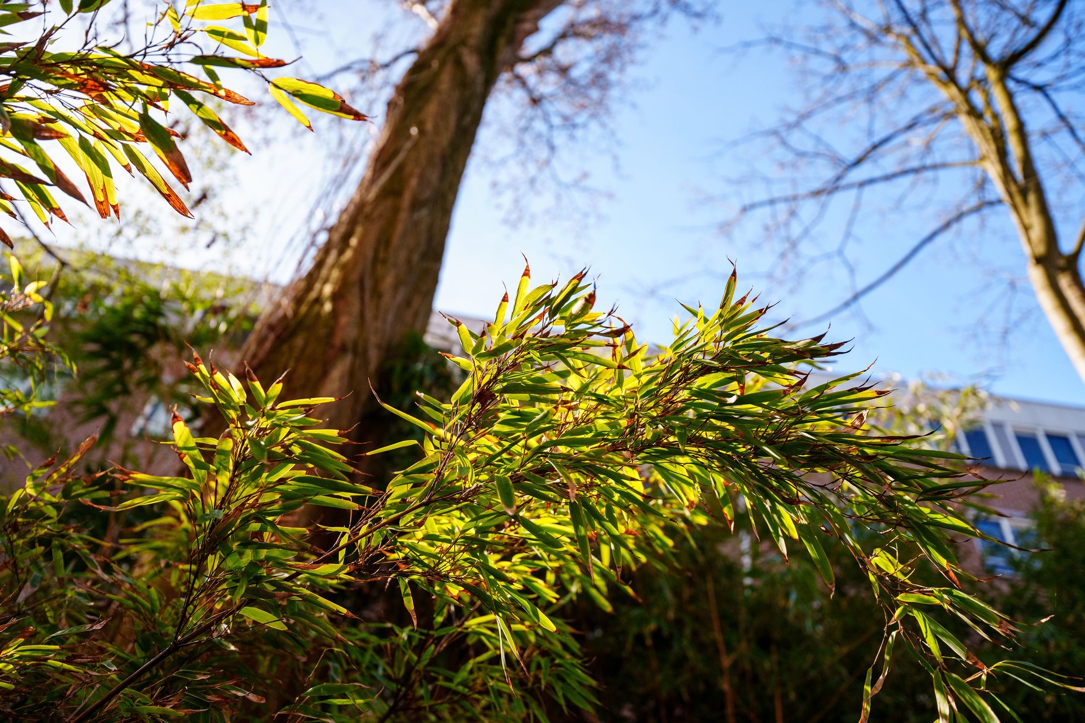 Photo 9 of Danie Theronstraat 22-E