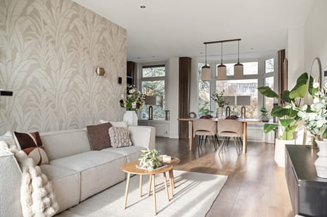 Van Baerlestraat thumbnail