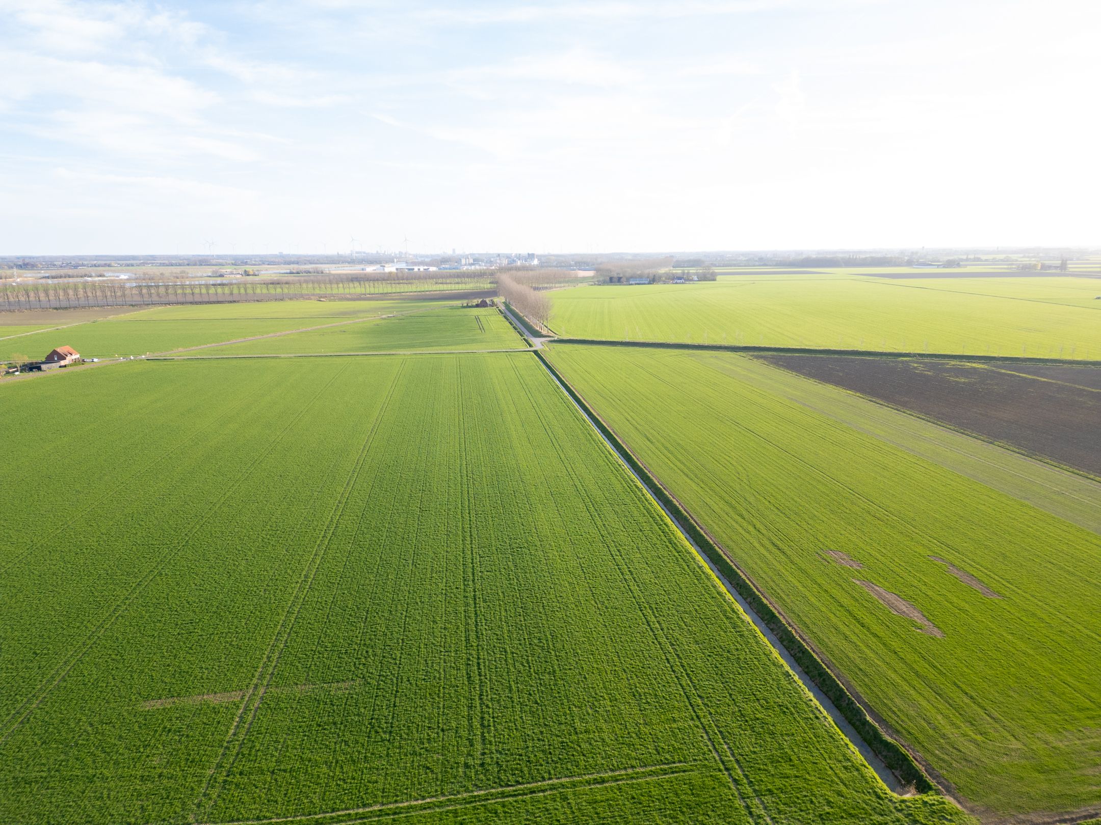 Foto 39 van Zandstraat 89