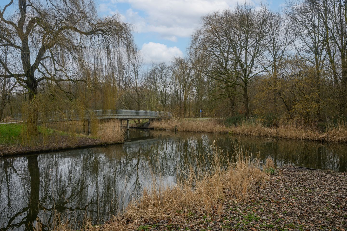 Foto 55 van Stellingmolenstraat 79