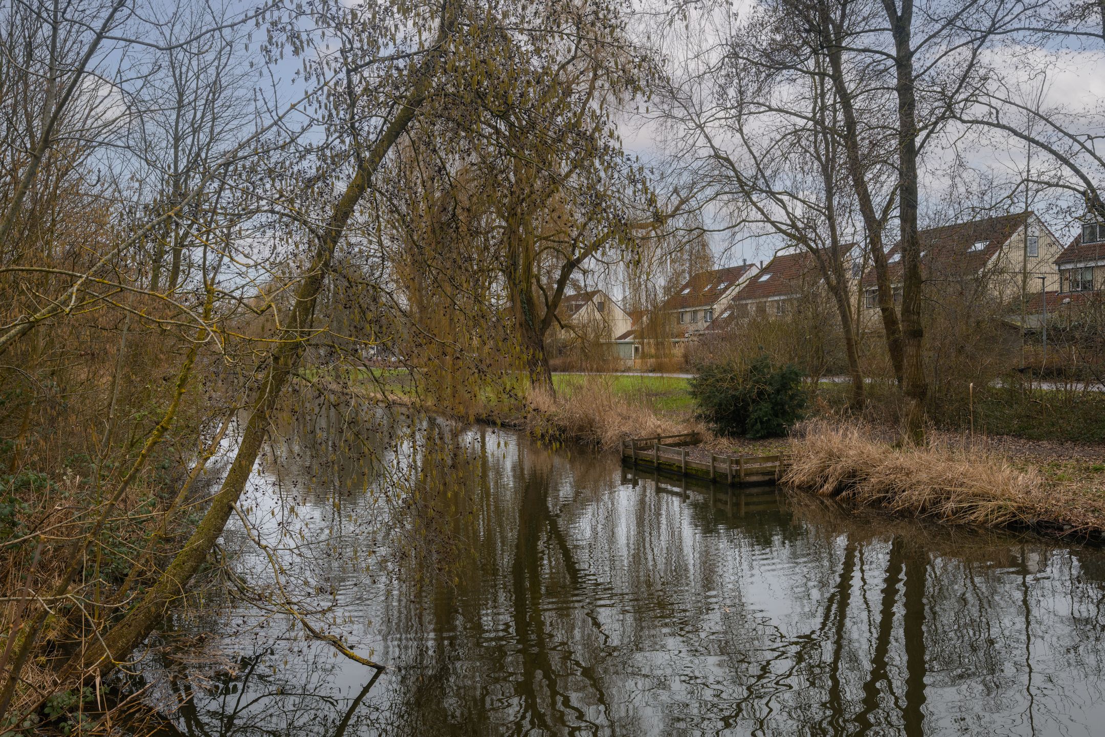 Foto 57 van Stellingmolenstraat 79