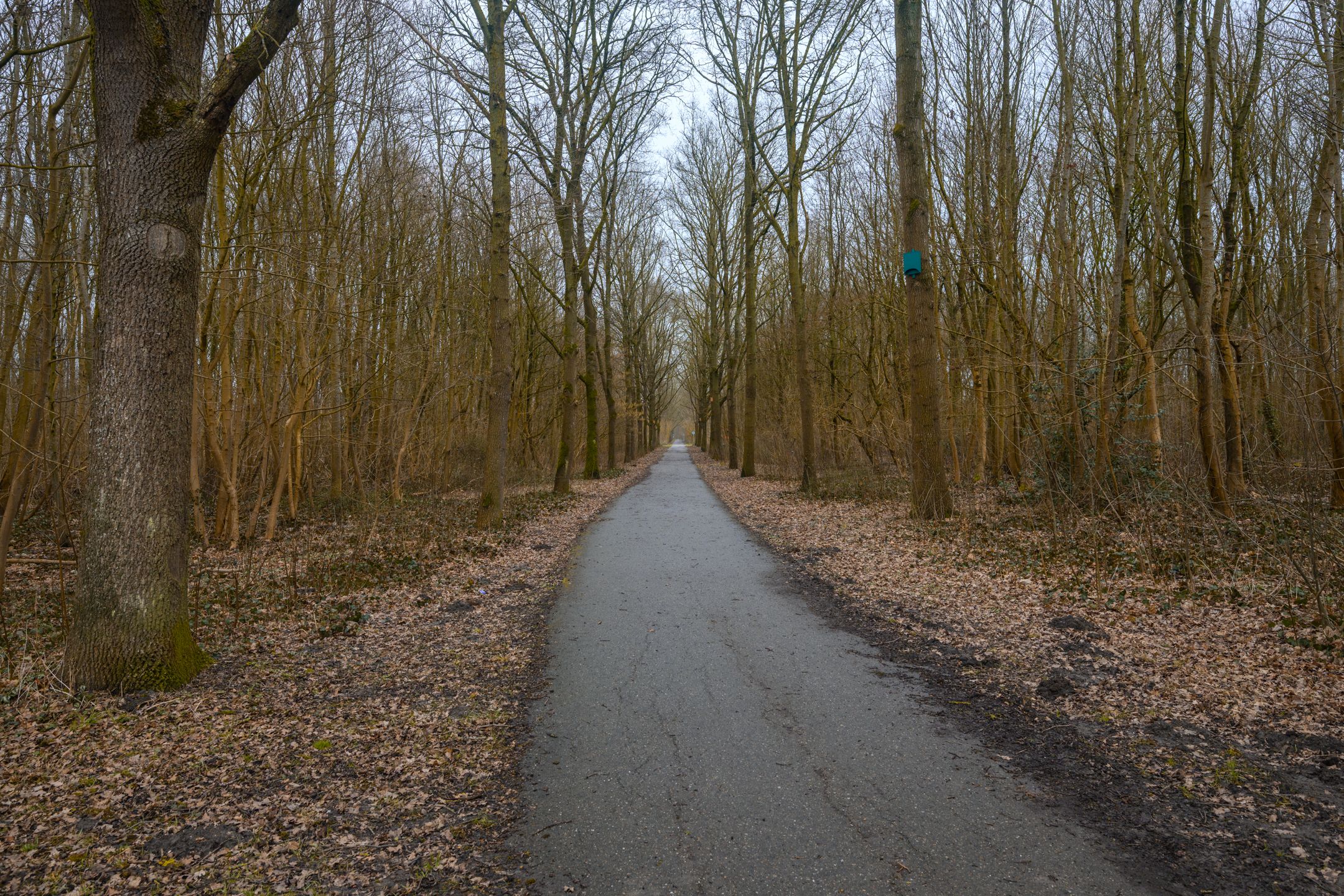 Foto 54 van Stellingmolenstraat 79