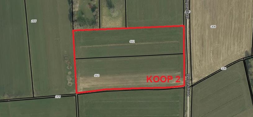 Bekijk foto 3 van Bergsestraat