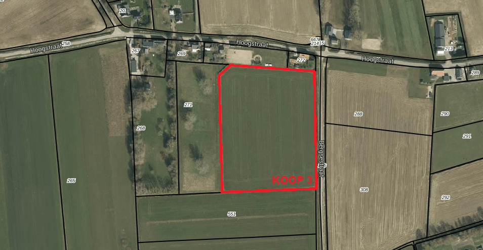 Bekijk foto 4 van Bergsestraat