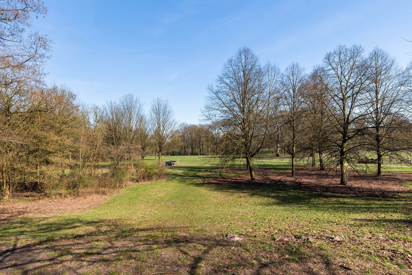 Foto 49 van Adelbrechtgaarde 1