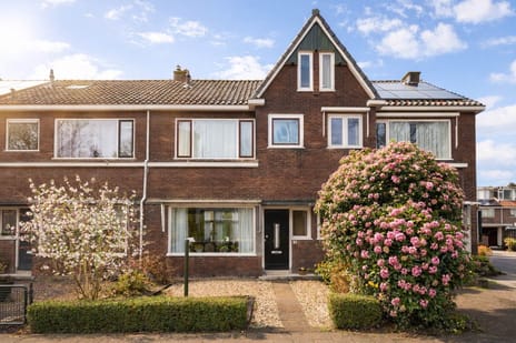 van Baerlestraat thumbnail