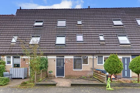 Hondsdrafmeen thumbnail