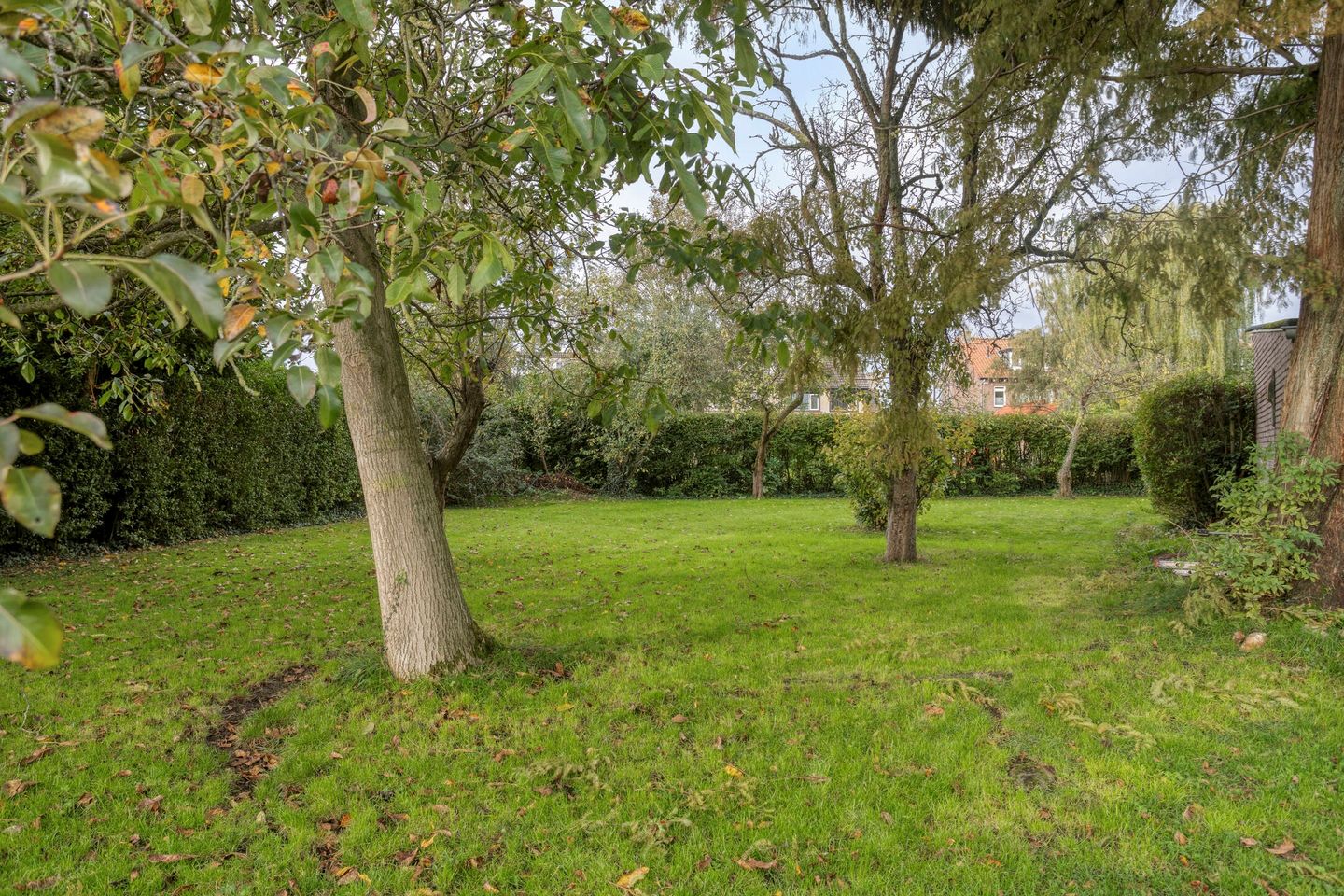 Foto 55 van Dr. Schaepmanstraat 37