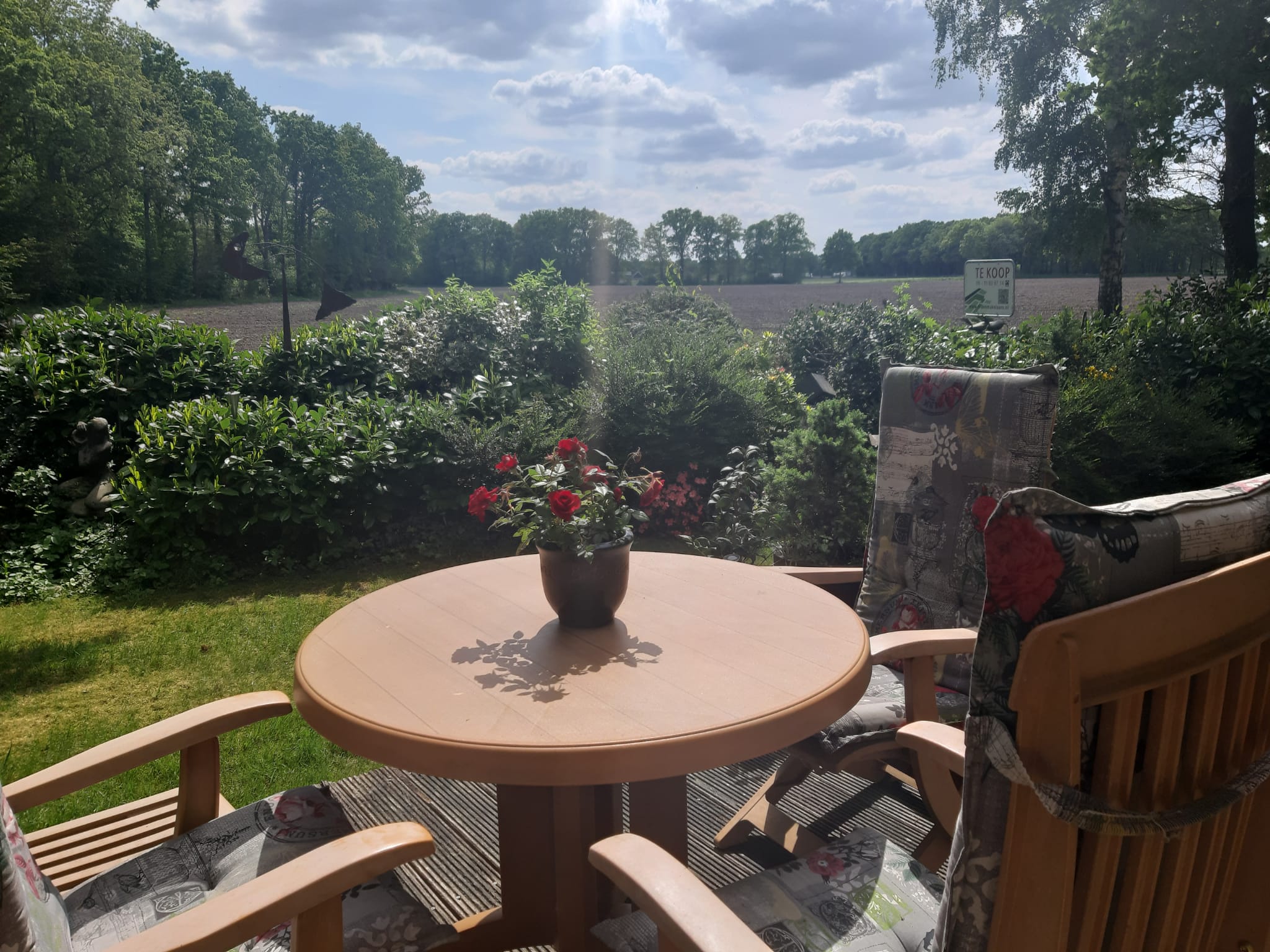 Foto 6 van Looërmark 5