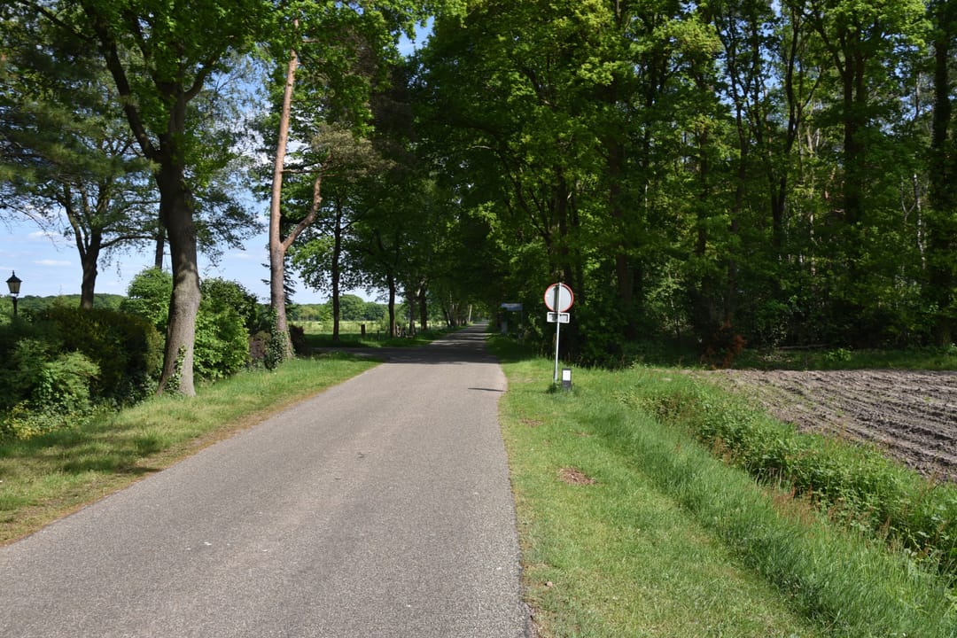 Foto 38 van Looërmark 5