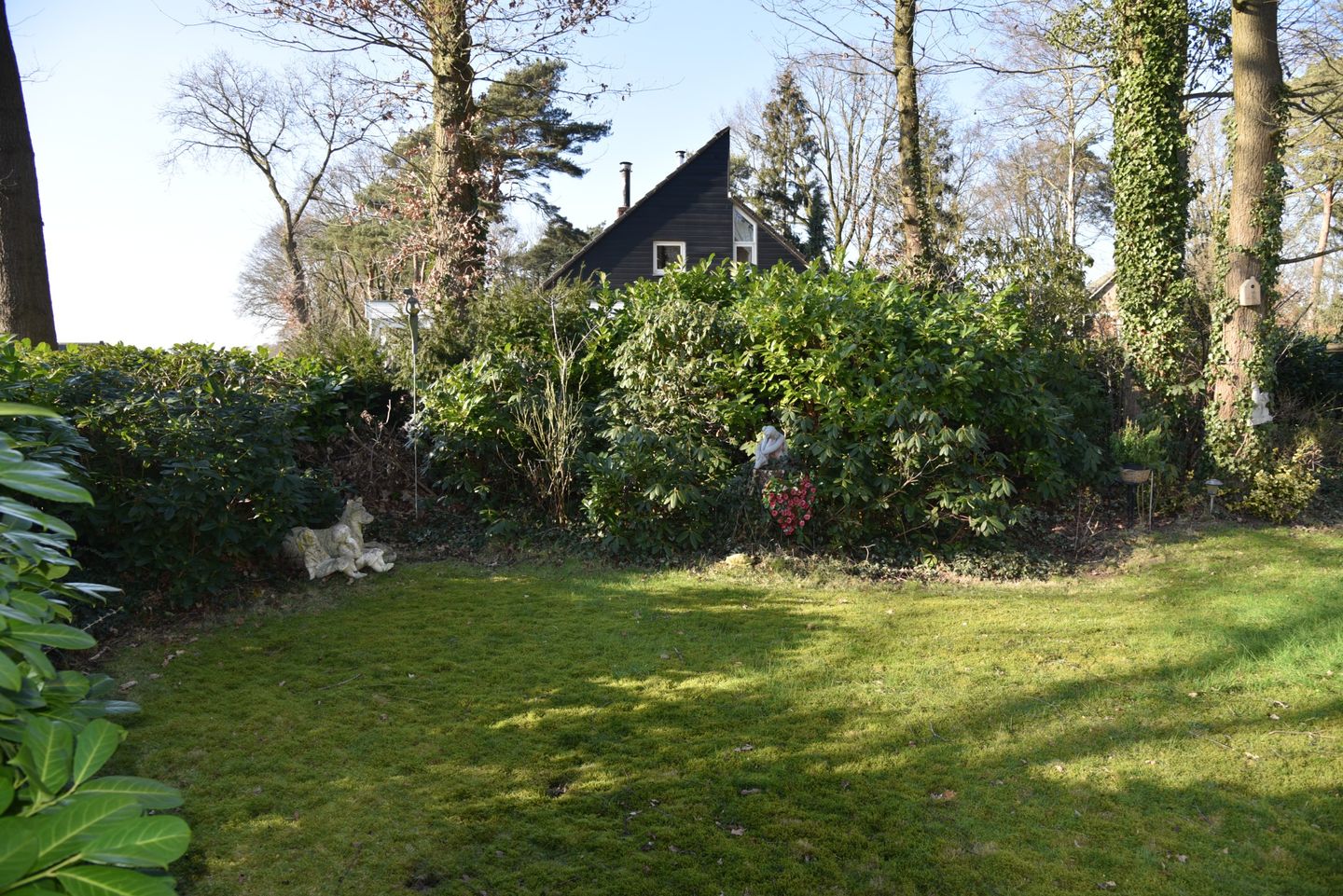 Foto 35 van Looërmark 5