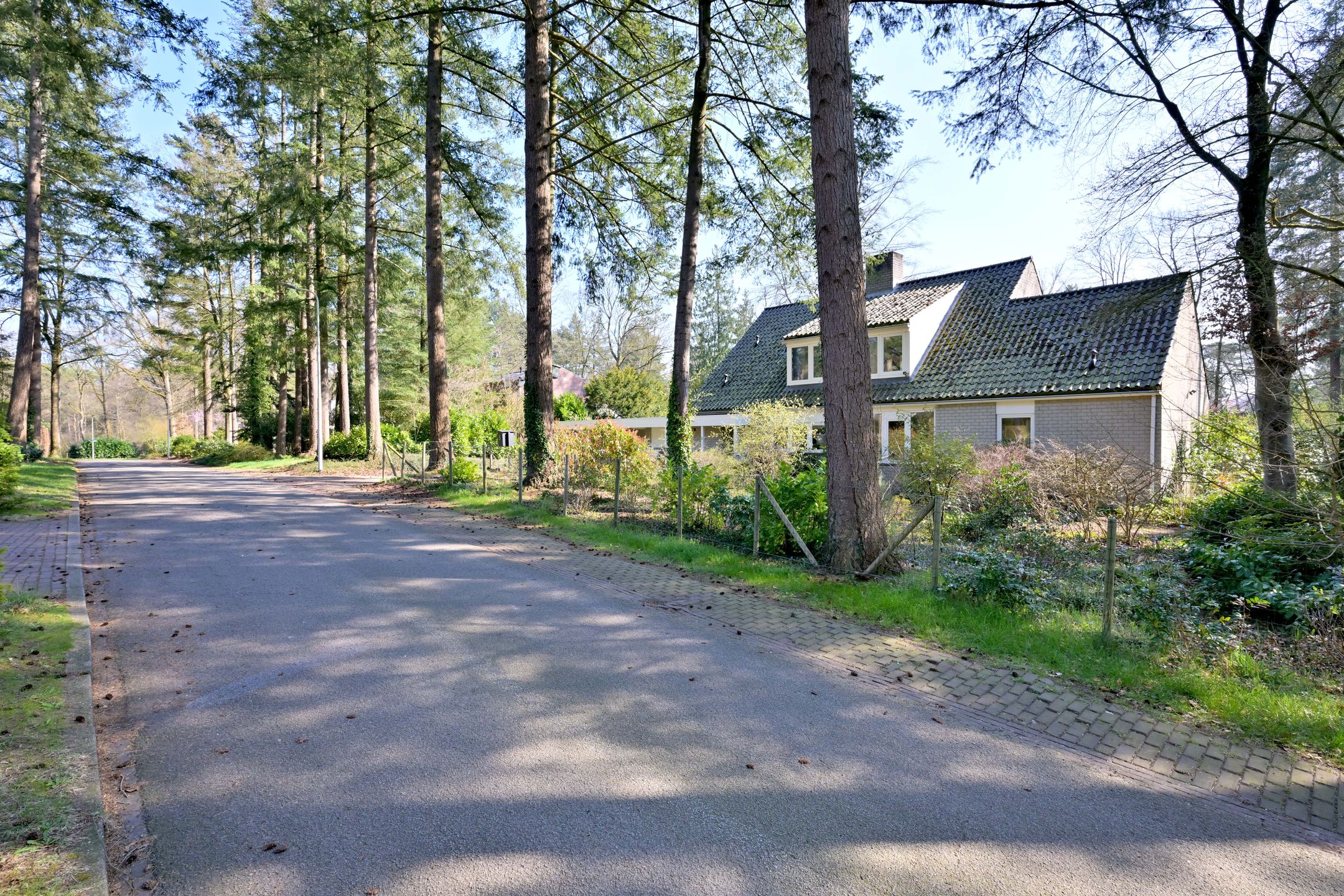 Foto 45 van Houtvest 5