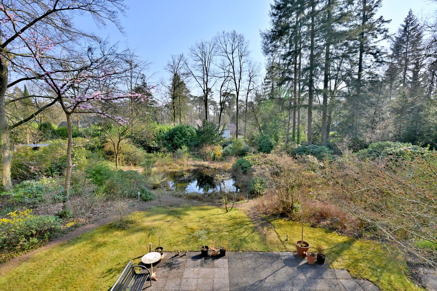 Foto 4 van Houtvest 5