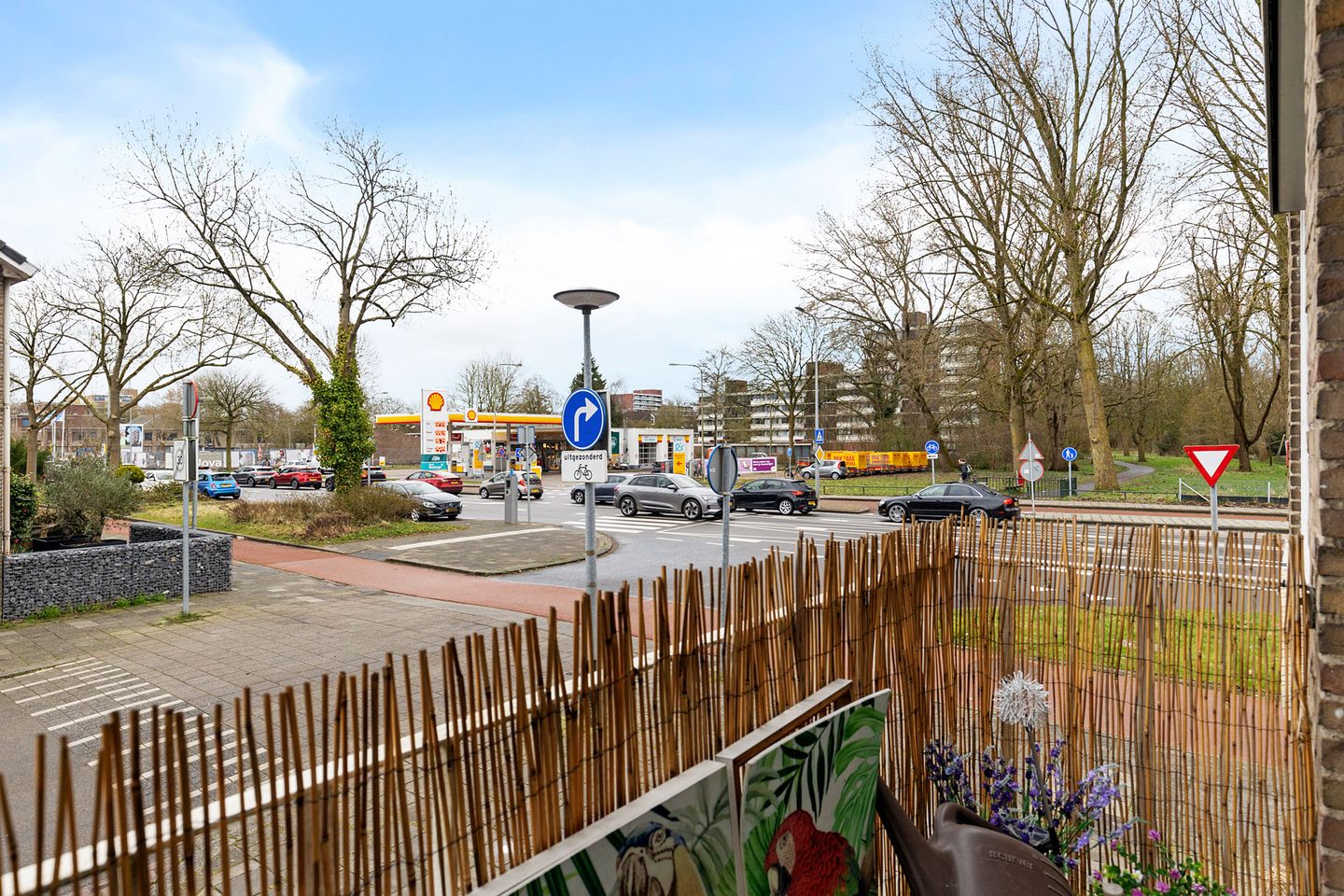 Foto 4 van Nicolaas Beetsstraat 125