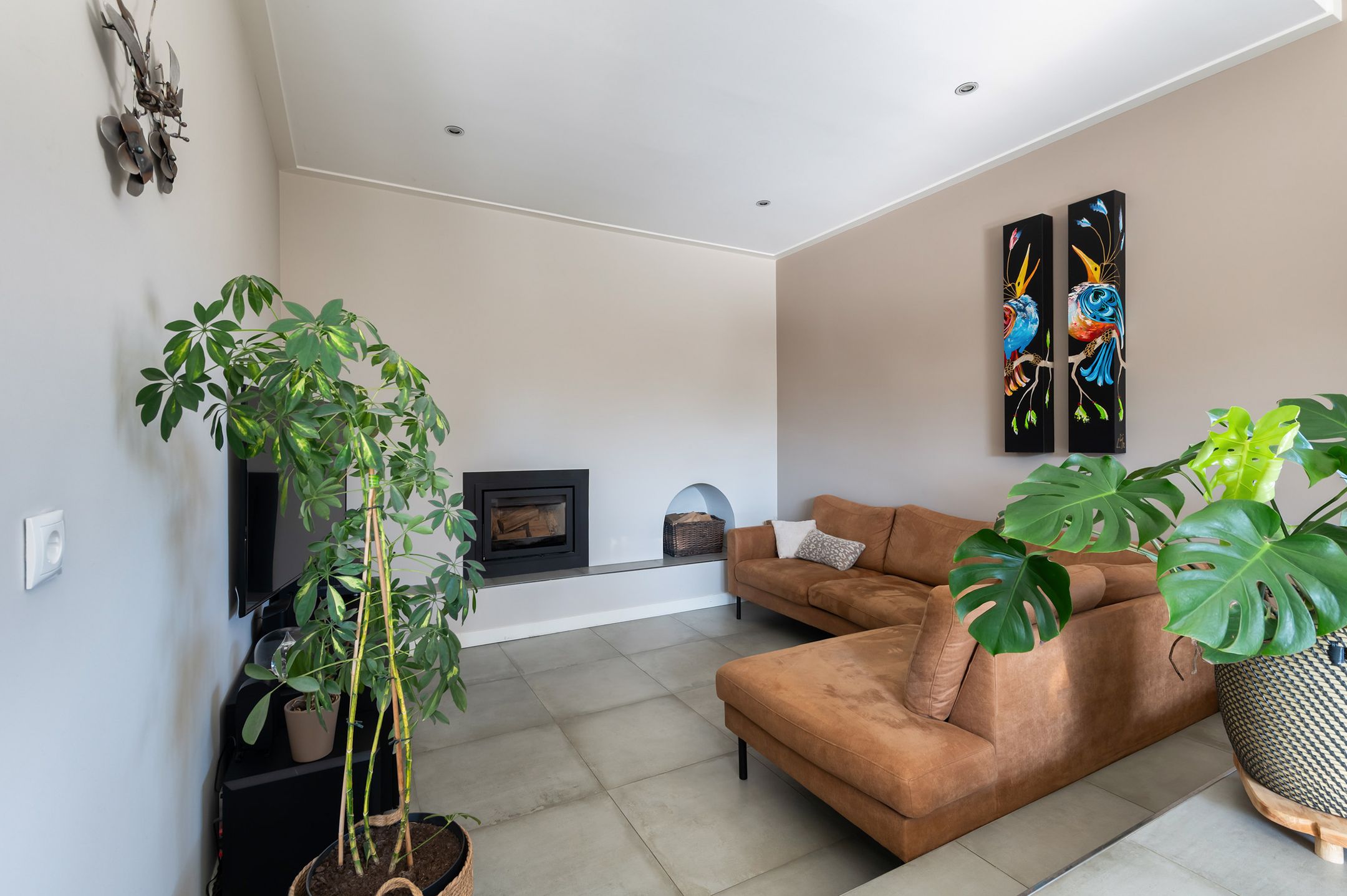 Foto 12 van Traland 1