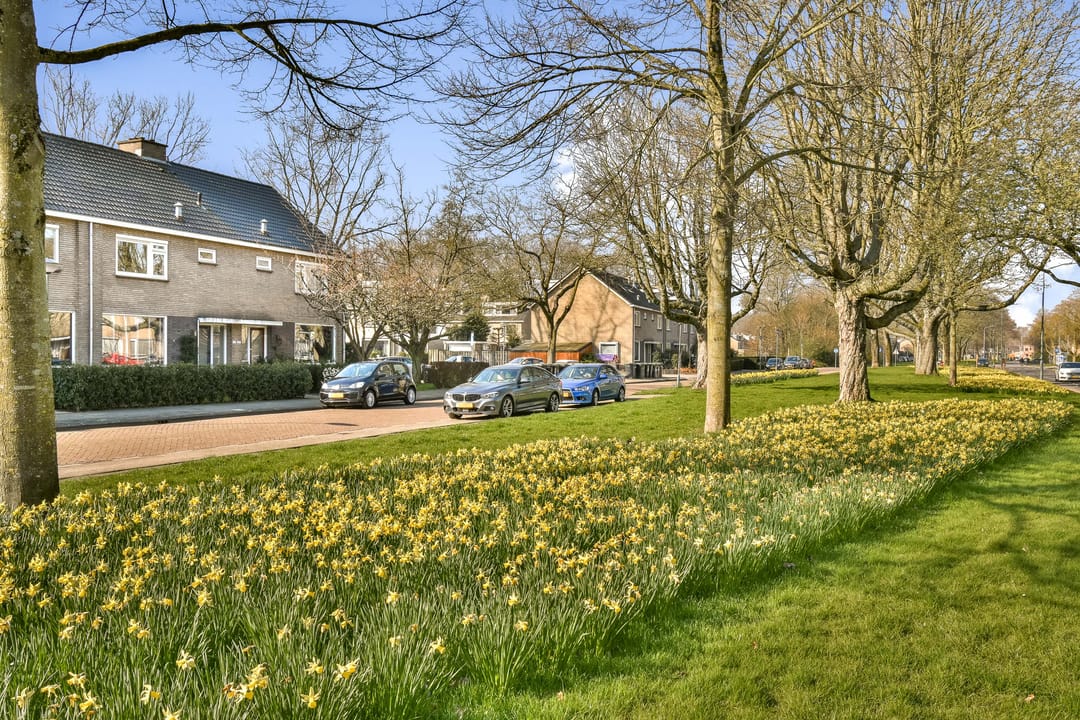 Foto 28 van Dubbelsteynlaan Oost 225