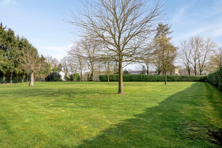 Foto 4 van Bosweg 25