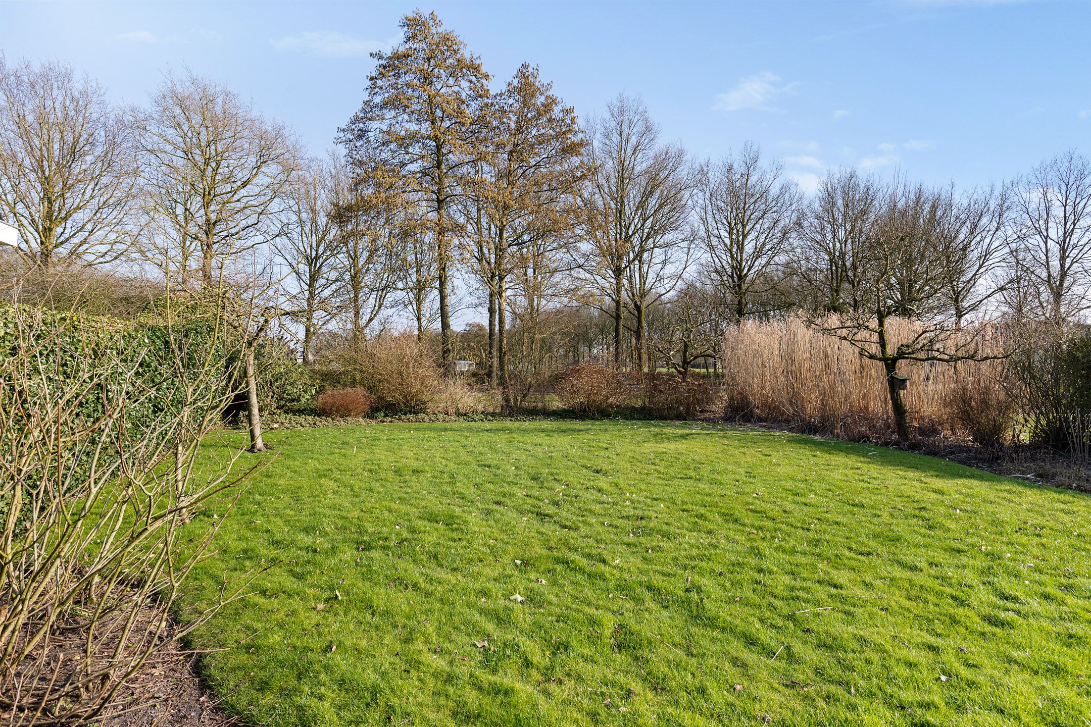 Foto 30 van Jonkerspaed 12