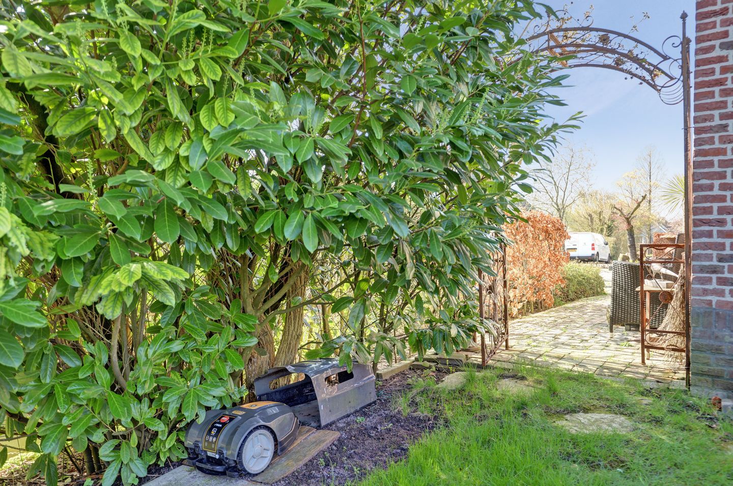 Photo 50 of Leeuwerik 6