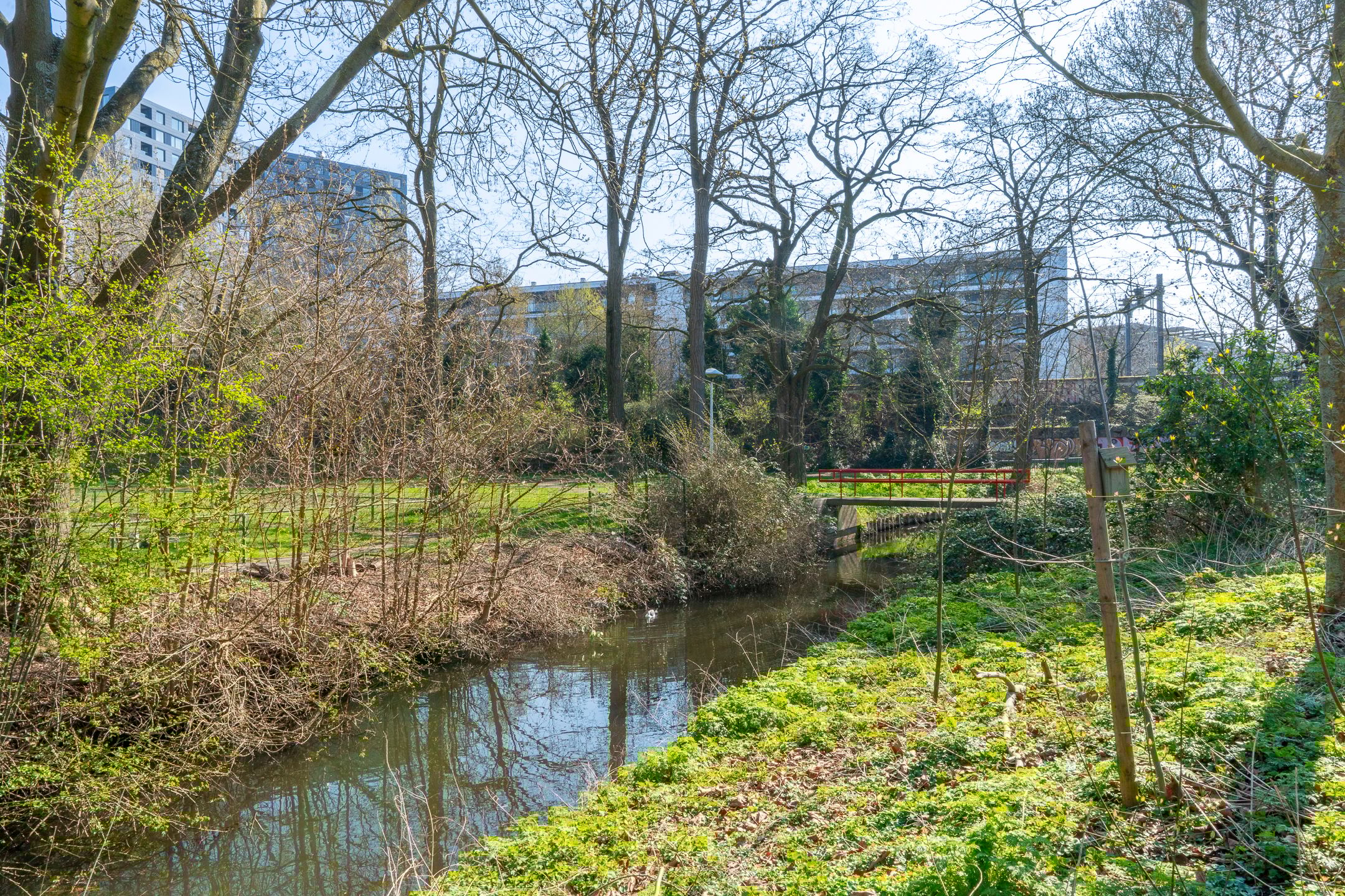 Foto 51 van Verheulstraat 3