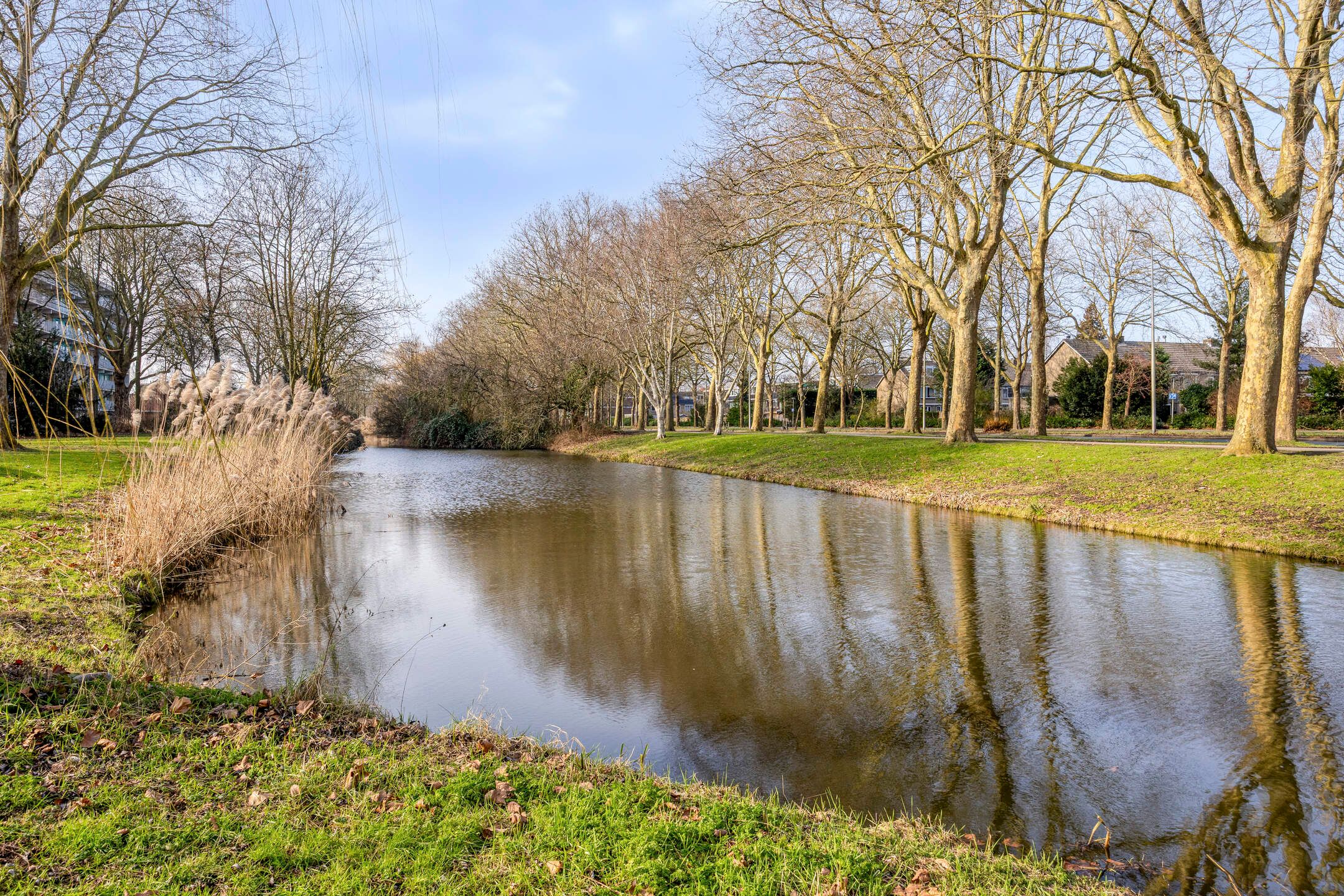 Foto 39 van Junostraat 19