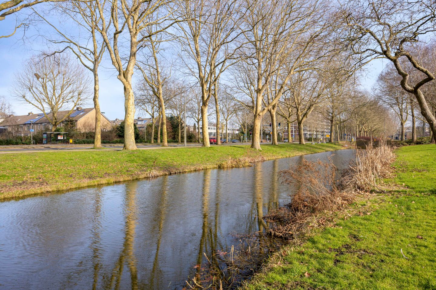 Foto 4 van Junostraat 19