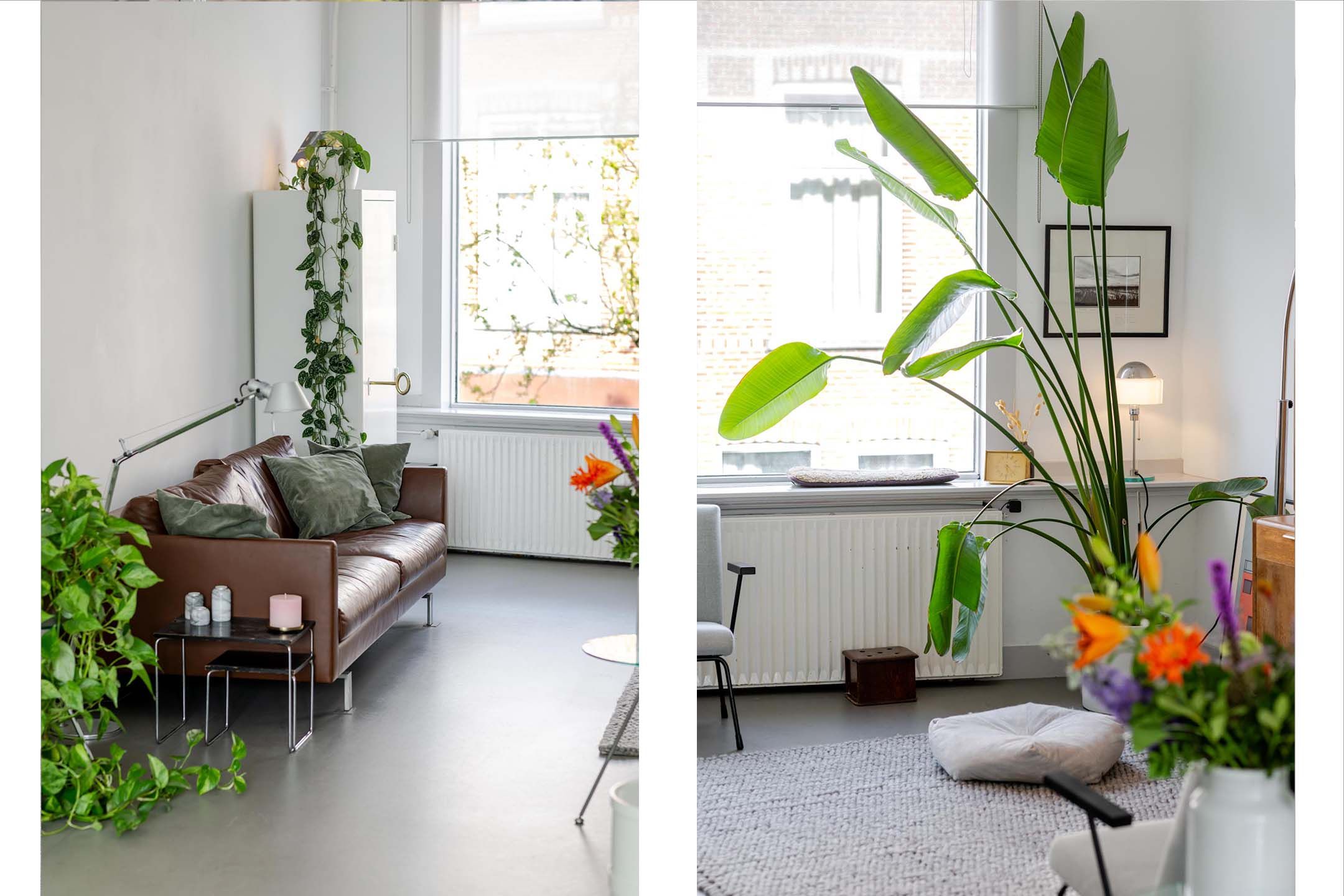 Foto 21 van Willem van Hillegaersbergstraat 72