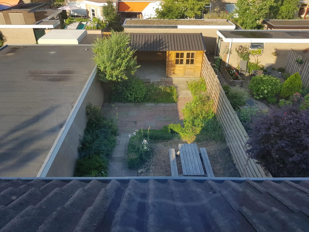 Foto 8 van Buntplein 1