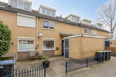 undefined main image