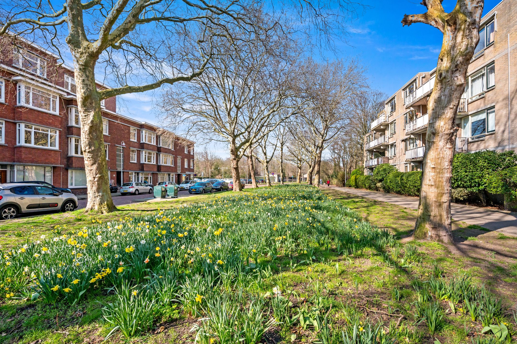 Foto 30 van Laan van Eik en Duinen 32