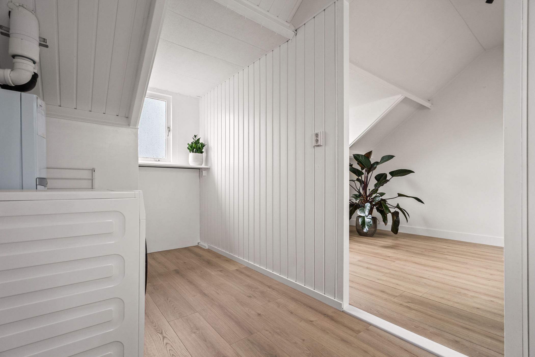 Photo 60 of Eksterweg 32