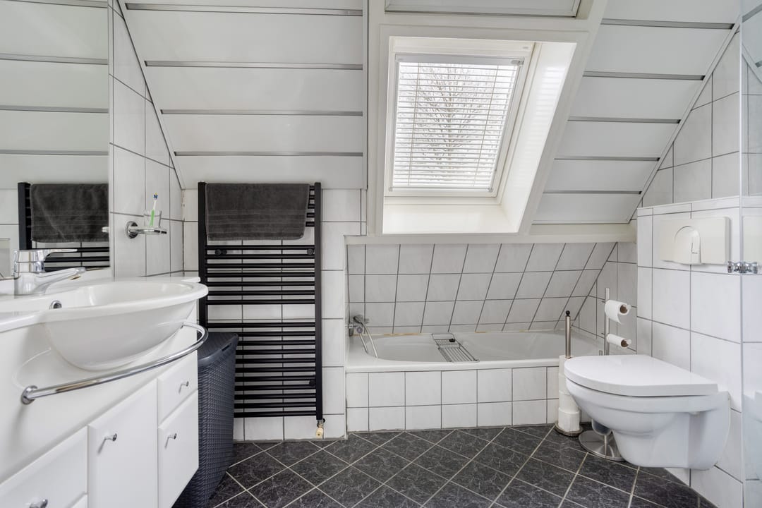 Foto 16 van Buidelmees 72