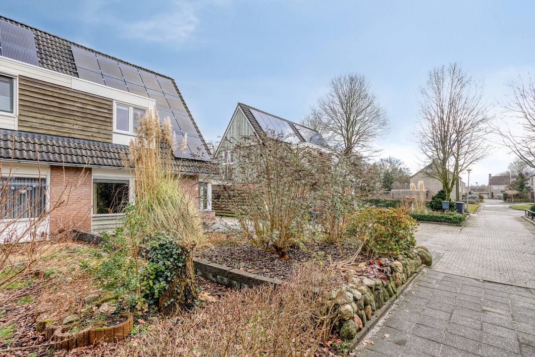 Foto 28 van Buidelmees 72