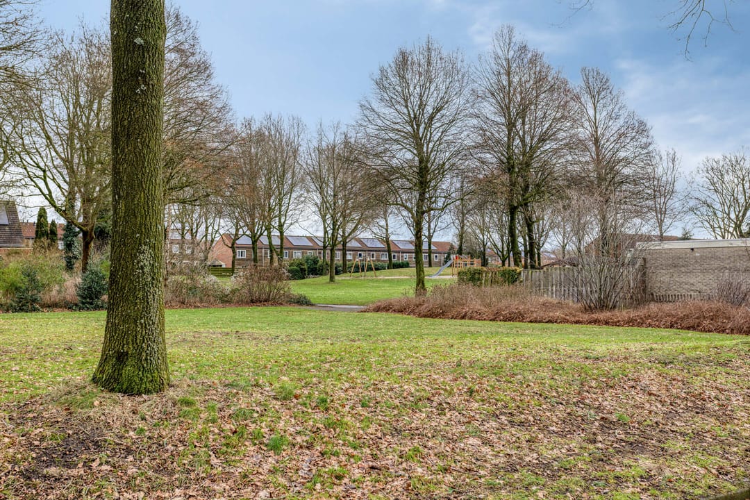 Foto 31 van Buidelmees 72