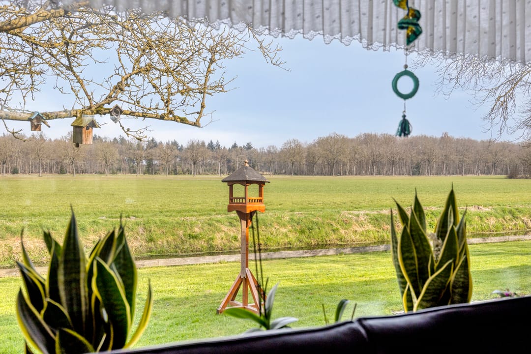 Foto 8 van Boswijk 6