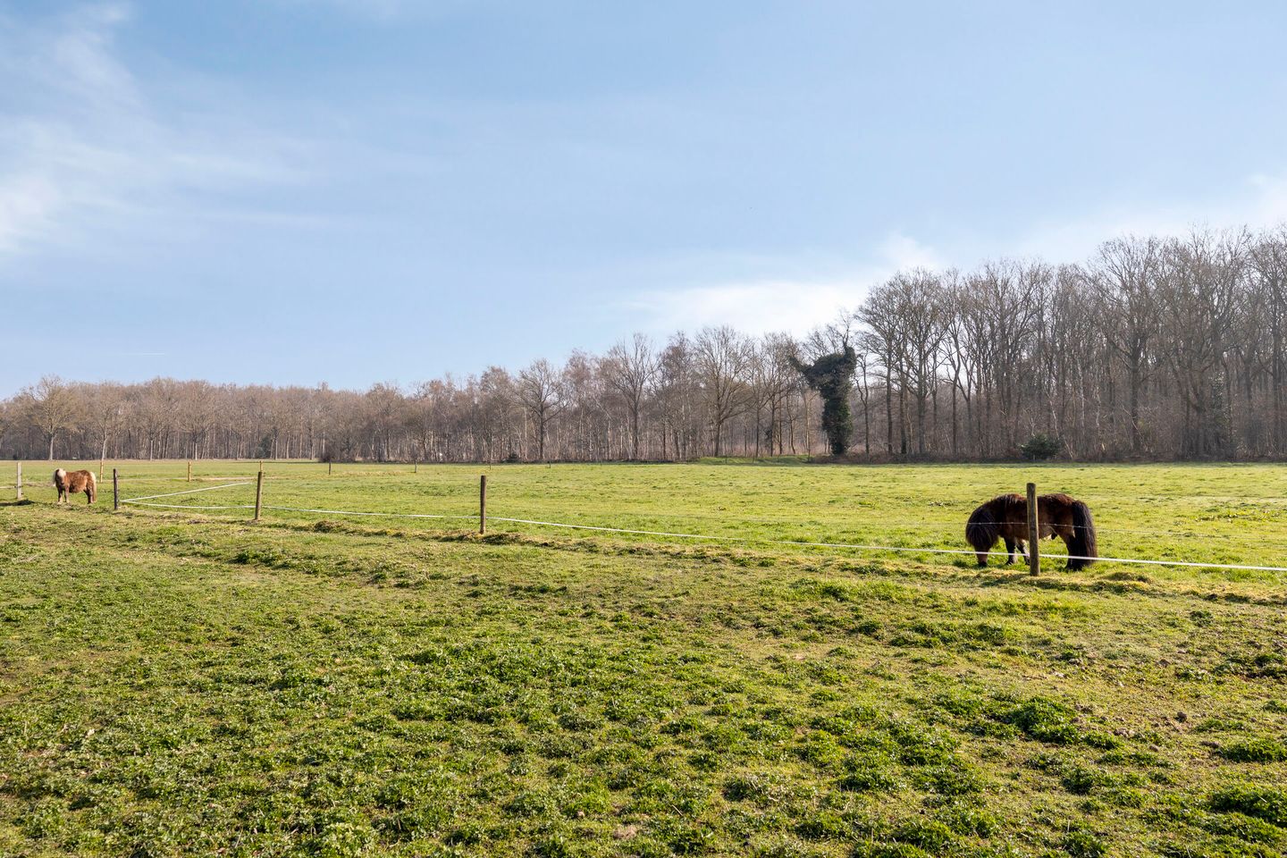 Foto 44 van Boswijk 6