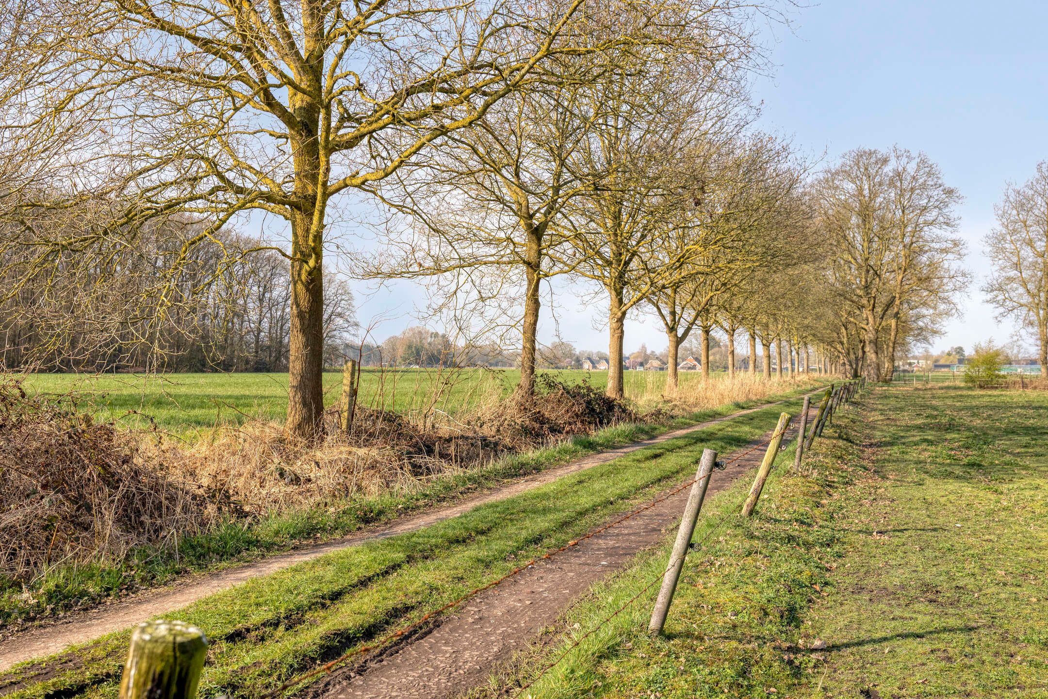 Foto 45 van Boswijk 6