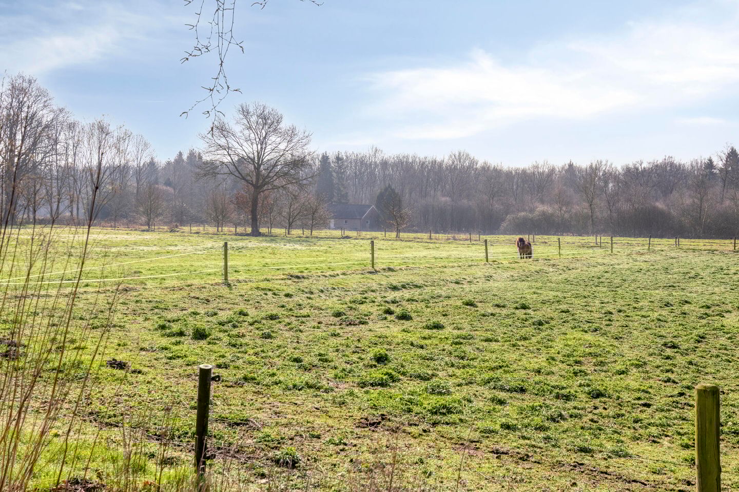 Foto 40 van Boswijk 6