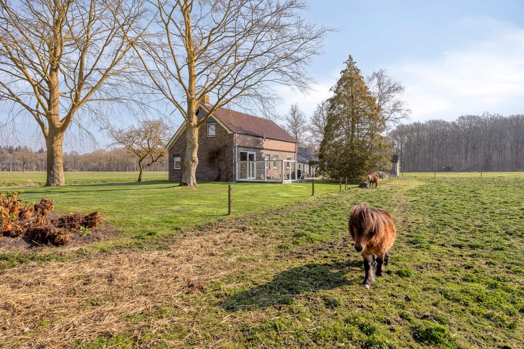 Foto 2 van Boswijk 6