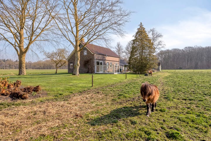 Foto 2 van Boswijk 6