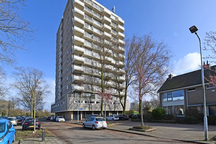 Foto 2 van Alexanderstraat 107