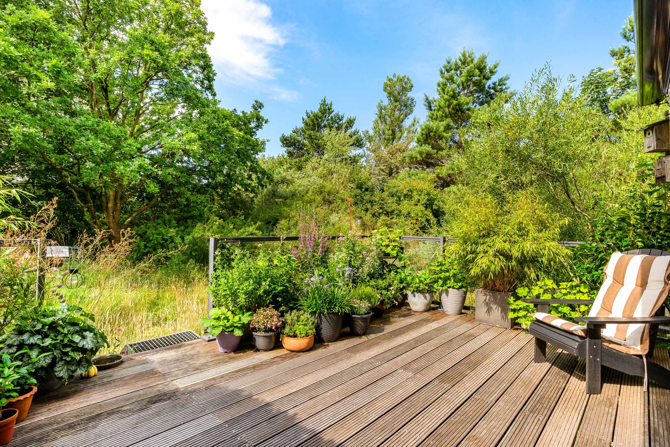 Foto 33 van Lage Bos 31