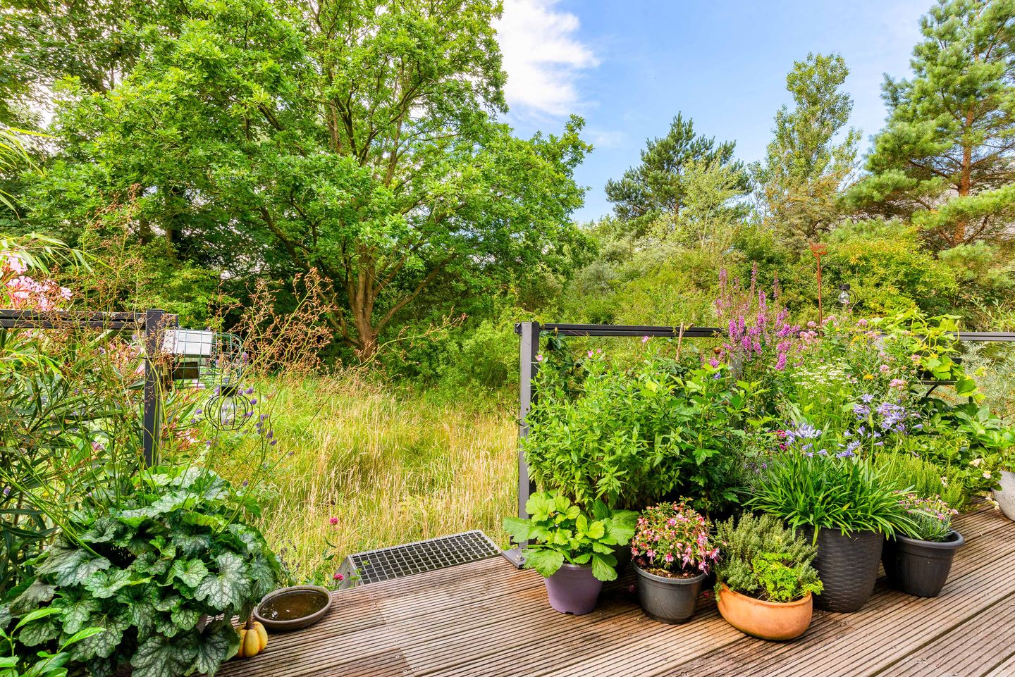 Foto 34 van Lage Bos 31